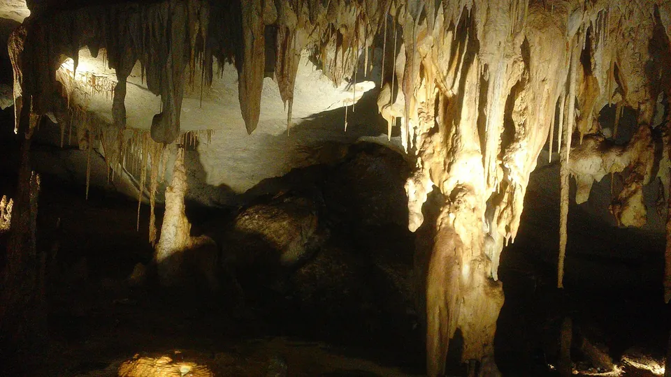 Stalactites and formations in Alexandra Cave, Naracoorte Caves
