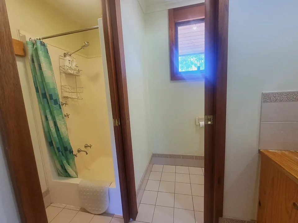 Bathroom shower 2