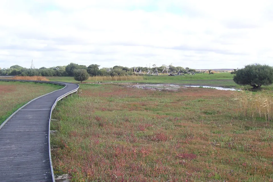 Boardwalk across the wetland at Bool Lagoon