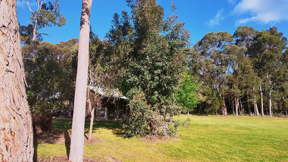 Cabin between gums