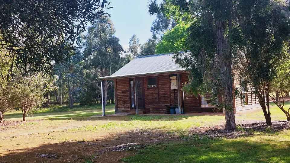 Log cabin among gum trees