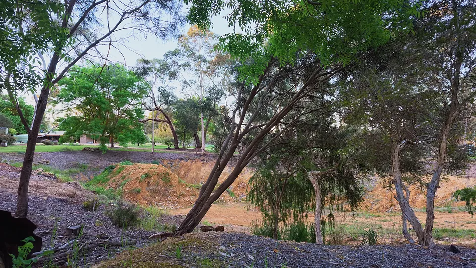 Creek bank