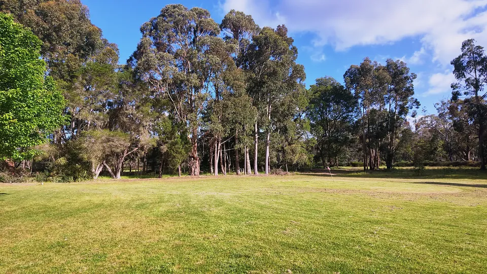 Fairway lined with gum trees on the private golf course