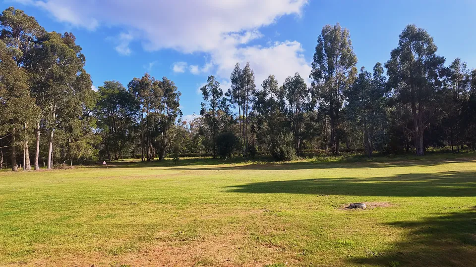 Open lawn on the golf course