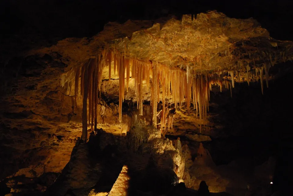 Stalactites in Victoria Fossil Cave, Naracoorte Caves